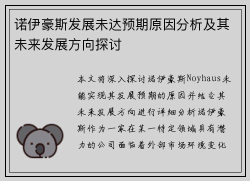 诺伊豪斯发展未达预期原因分析及其未来发展方向探讨